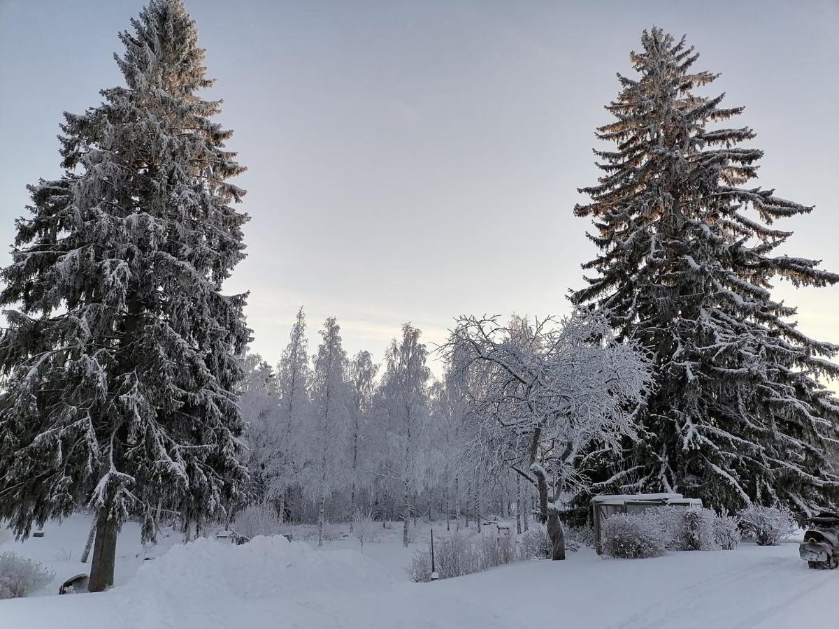 Mansikka Taipalsaari